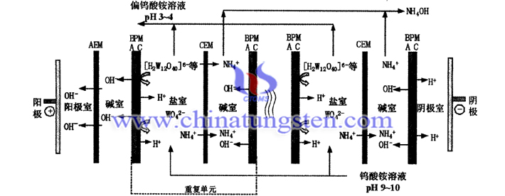 雙極膜電滲析法製備偏鎢酸銨溶液圖片