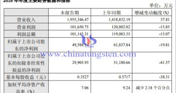 廈鎢2018年年度財務資料圖片