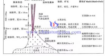 脈型鎢礦床找礦預測地質模型