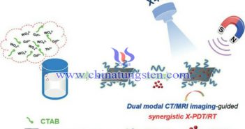 稀土摻雜鎢酸鹽納米材料研發思路