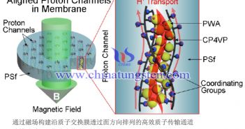 磷鎢酸系於配位聚合物分子鏈上