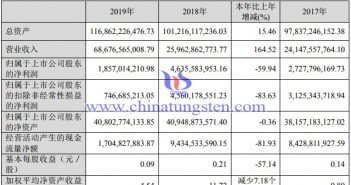 洛鉬2019年主要財務資料