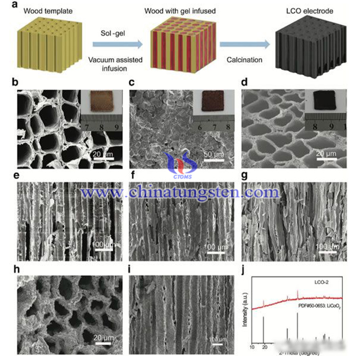 仿生結構LCO電極形貌圖片