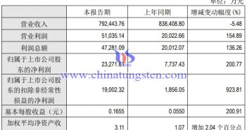 廈門鎢業2020年上半年主要財務資料