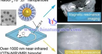 稀土摻雜納米探針用于磁共振成像圖片
