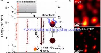 摻雜釹的納米探針擴大STED顯微鏡應用範圍圖片