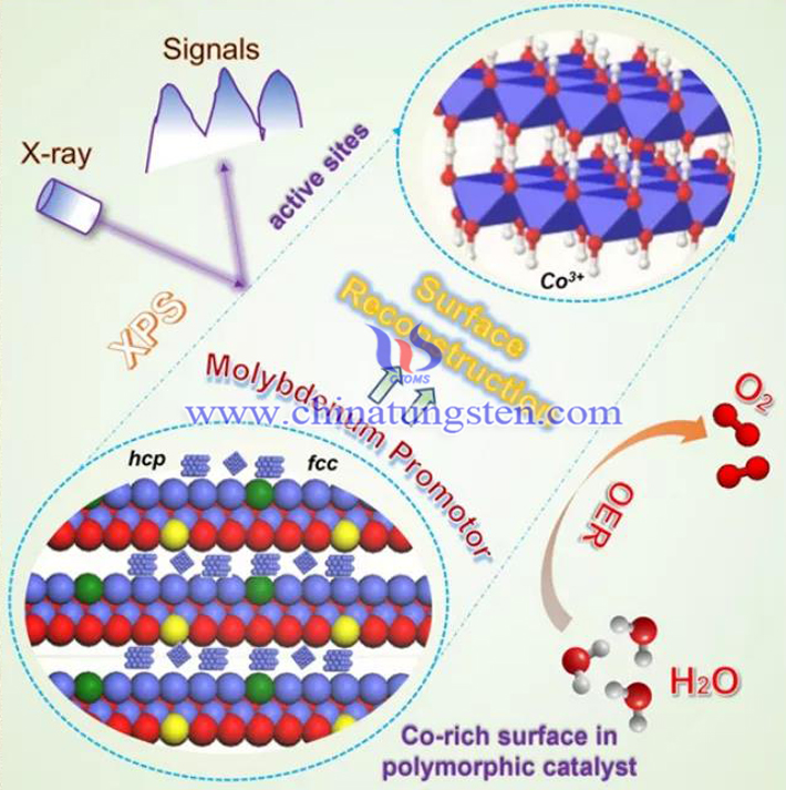 含鉬多晶鈷催化劑對OER反應的影響圖片