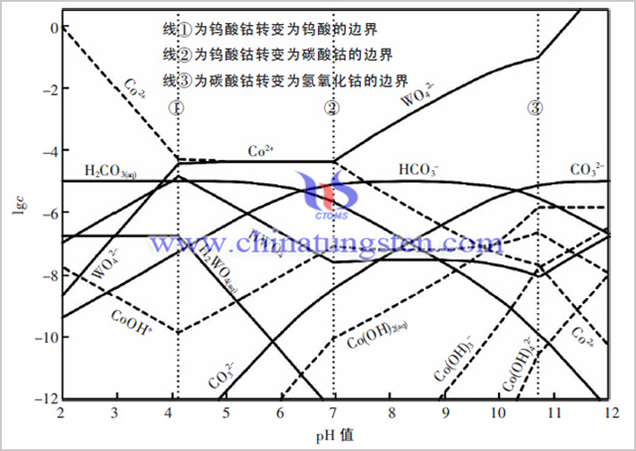 Co-W-C-H2O 體系各溶解組分的lgc-pH圖