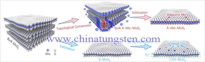 A-Mo-MoS2合成示意圖（Zhan,G.M/上海交通大學）