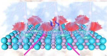 1T-MoS2/Ti3C2 MXene异質結構示意圖（圖源：F.Long/Chemical Engineering Journal）