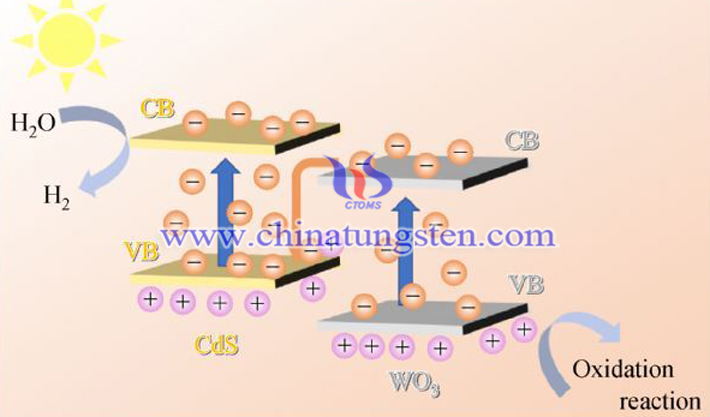 WCd-CT光催化劑在光照下電荷分離和轉移情况（圖源：Zehong XU/Frontiera in Energy）