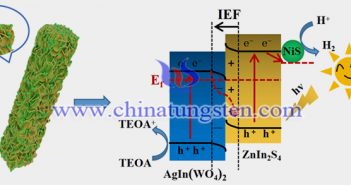 S-scheme NiS/ZnIn2S4/AgIn(WO4)2催化反應機理圖（圖源：復旦大學）