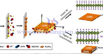 鎢酸鉍光催化劑合成示意圖（圖源：香港城市大學）