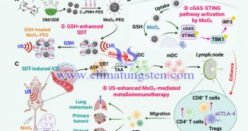 缺陷態氧化鉬在聲動力治療技術中的應用過程（圖源：Angewandte Chemie International Edition/Liang Cheng）