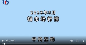 2023年5月中國鉬製品價格走勢