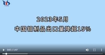 2023年5月中國鉬製品出口情况圖片