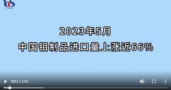 2023年5月中國鉬製品進口情况圖片