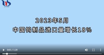 2023年5月中国钨制品进口情况