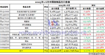 2023年上半年中國鉬製品出口數據圖片