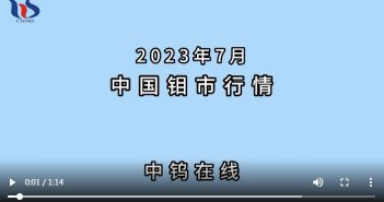 2023年7月中國鉬市行情