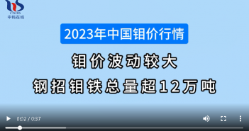 2023年中國鉬價行情