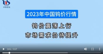 2023年中國鎢價行情