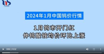 2024年1月仲鎢酸銨均價環比上漲圖片