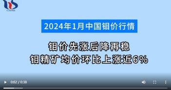 2024年1月鉬精礦均價環比上漲圖片