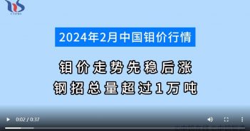 2024年2月中國鉬價行情