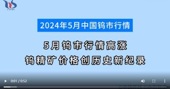 5月鎢市行情如何