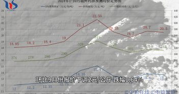 2024年10月贛州鎢協預測均價與上半月各大型鎢企長單報價