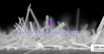 SEM image of tungsten trioxide nanowire