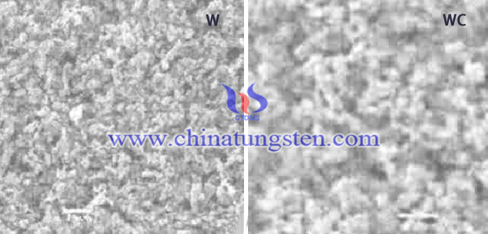 W powder and WC powder SEM picture