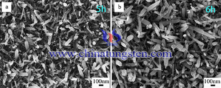 SEM image of Mo-doped tungsten trioxide nanorod synthesized under different hydrothermal growth time