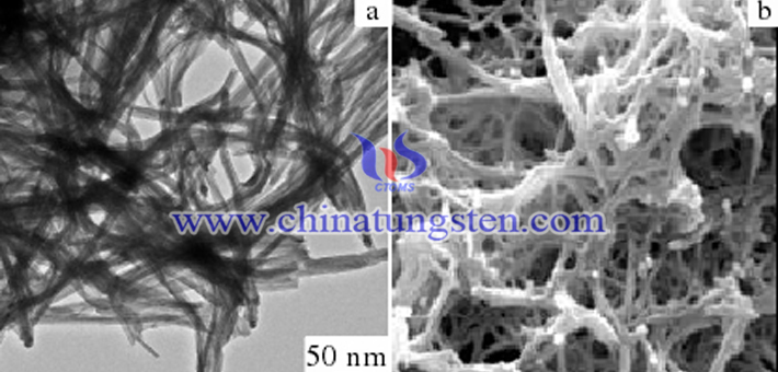 TEM and SEM images of TaxWO3 synthesized at 170°C for 48h