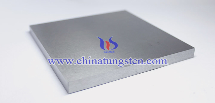 W243 tungsten alloy block picture