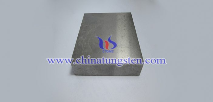 W263 tungsten alloy block picture