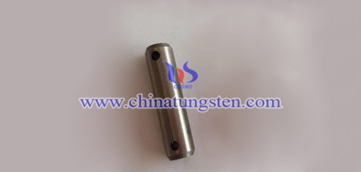 tungsten alloy double hole cylindrical pin picture