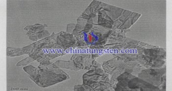 nano tungsten trioxide sem image