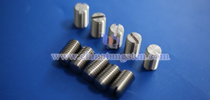 Tungsten alloy screw photo