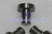 Tungsten Alloy Screw photo