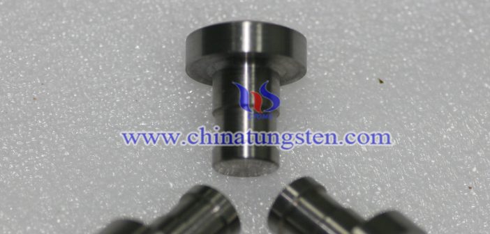 Tungsten Alloy Screw photo