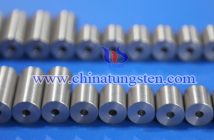 Tungsten Alloy Weight photo