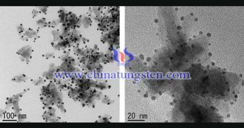 燃料電池画像用の二硫化タングステンナノシート