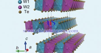 二碲化钨图片