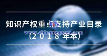 知识产权重点支持产业目录图片