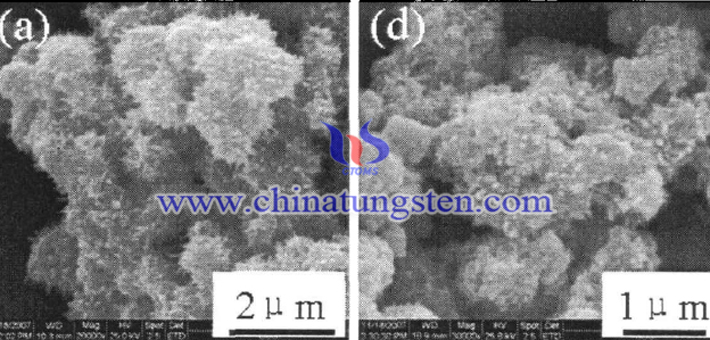 不同pH值合成的WO3粉体的SEM形貌图片