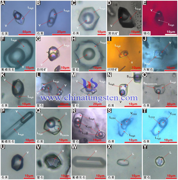大湖塘矿床不同包裹体类型代表性显微图片