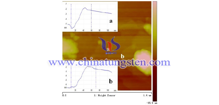 六方相WO3超薄纳米片的AFM照片