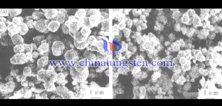 用蓝钨制取的研磨态钨粉的SEM形貌